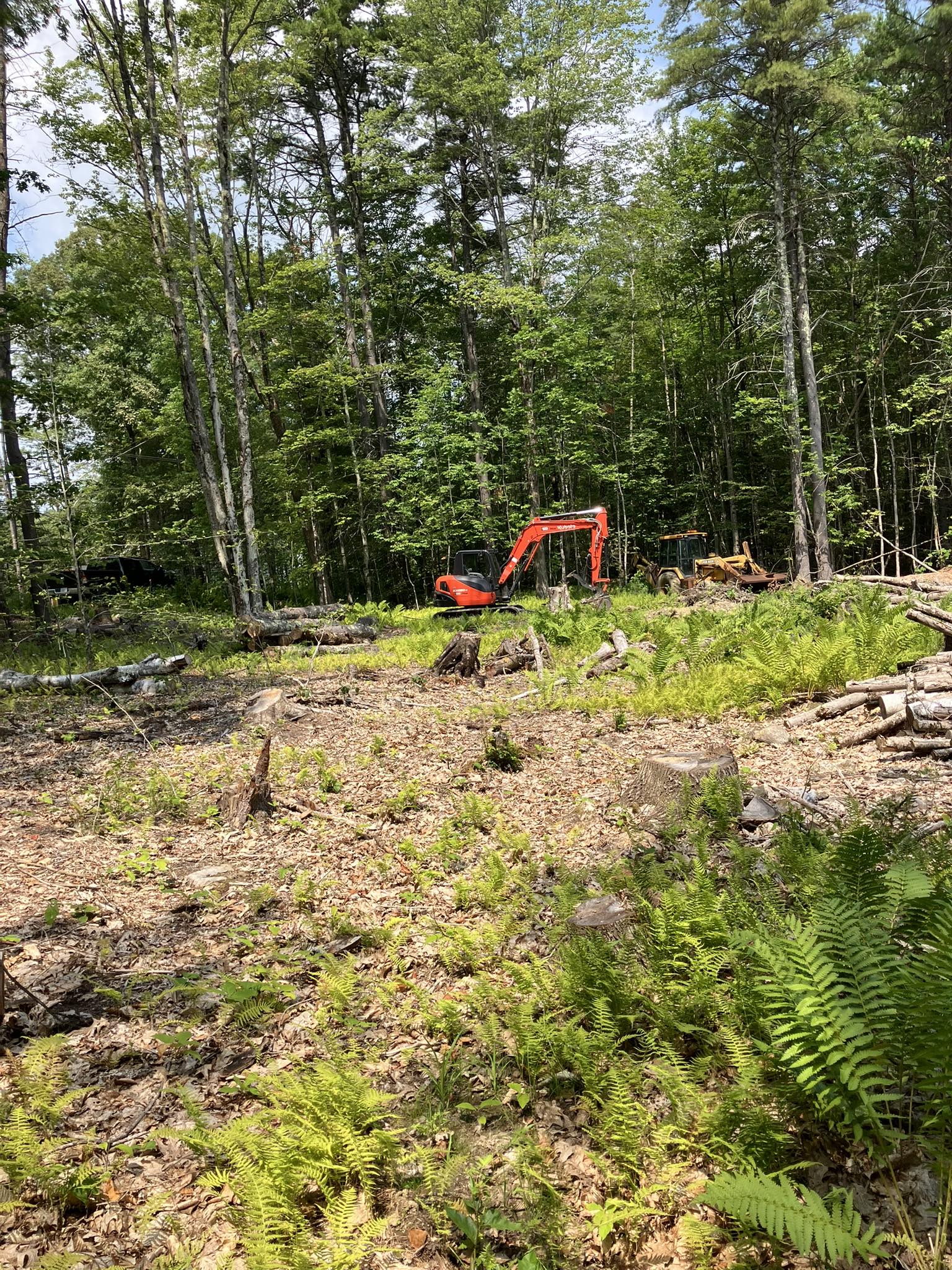Land clearing - WH Trucking