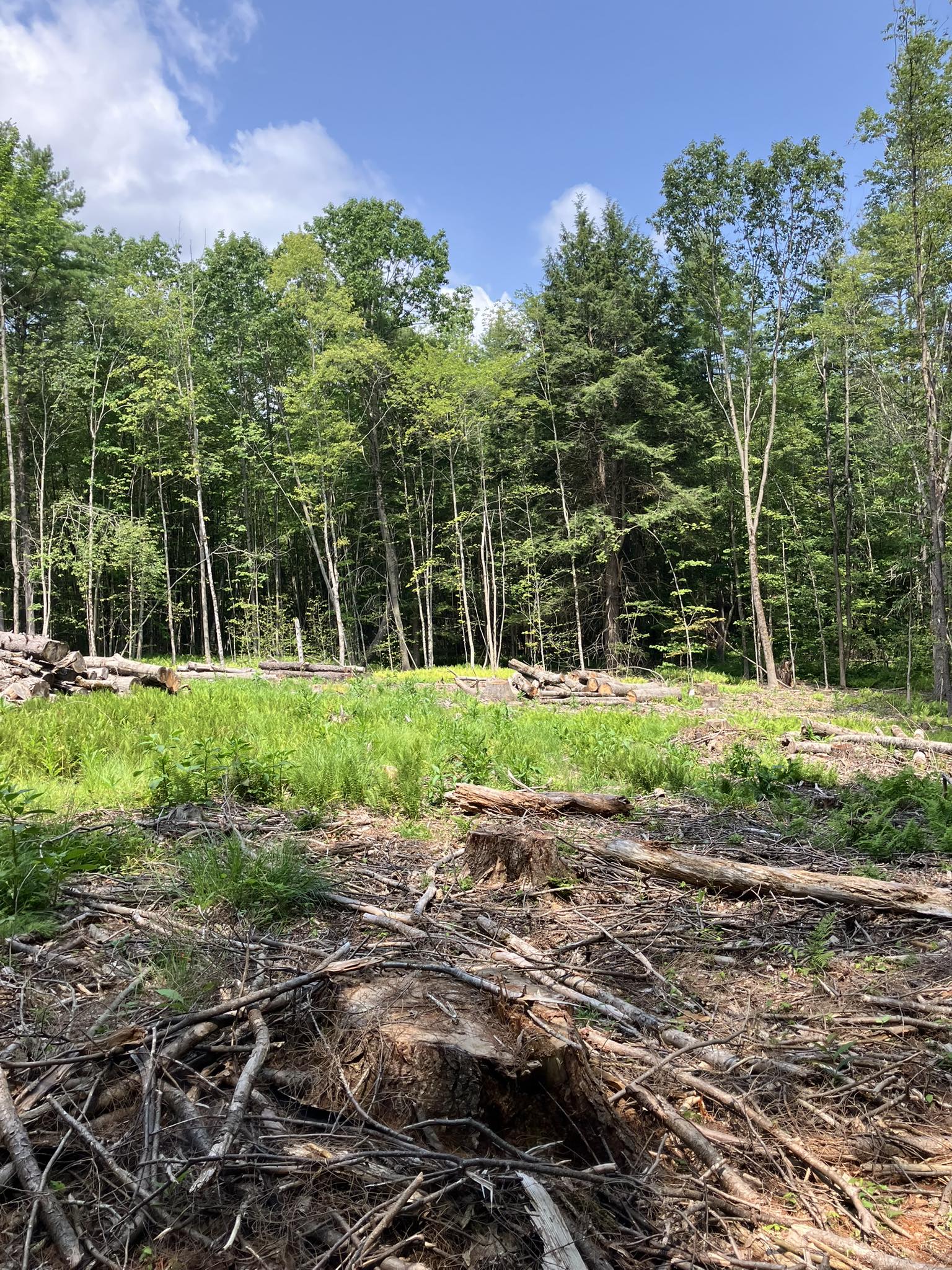 Site cleared - WH Trucking